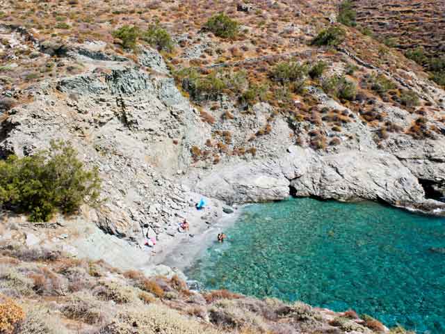 ampelifolegandros